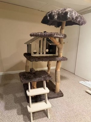 Solid Wood Cat Tree with Luxury Cat Condo, Modern Cat Tree Tower with Wood Ladde