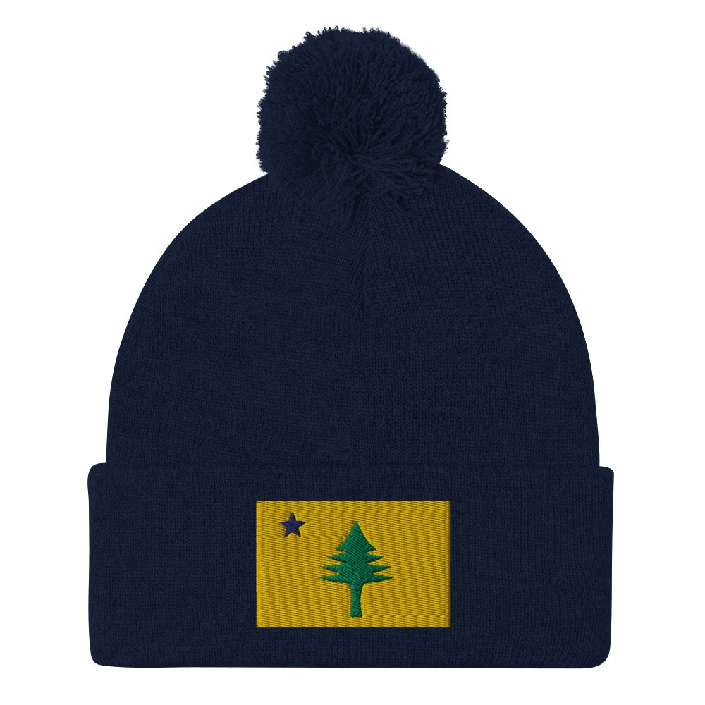 1901 Maine State Flag Winter Hat Beanie - Dirigo!