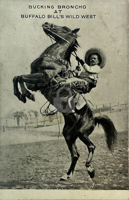 Bucking Bronco at Buffalo Bill's Wild West c.1905 Photo Postcard COPY