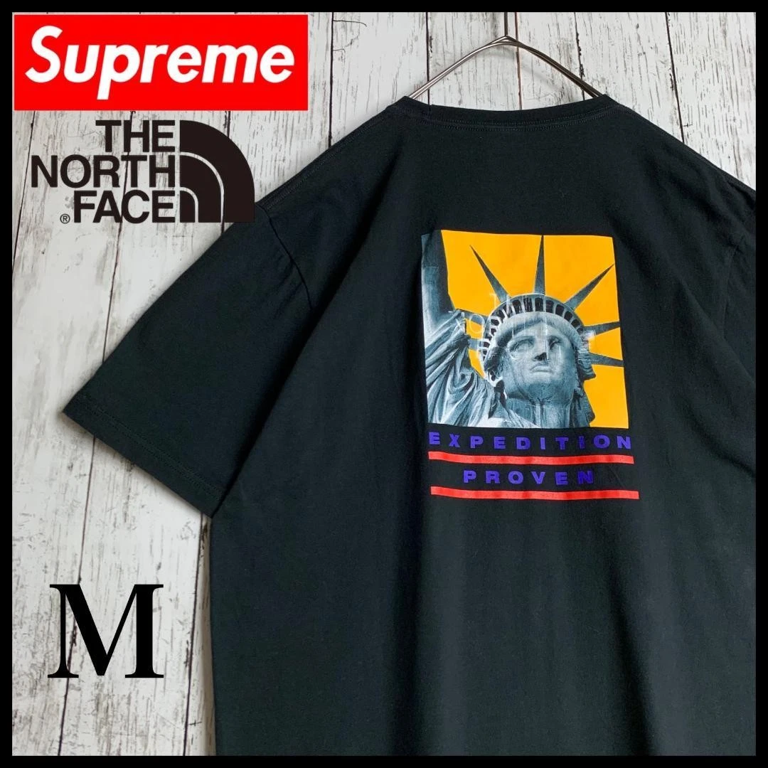 T shirt Supreme Men M Collaboration Limitée North Face Statue de la Liberté Logo