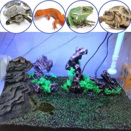 Basking Platform for Turtles Tortoise Dock Resin Resting Rock Reptile Habitat... - Picture 6 of 7
