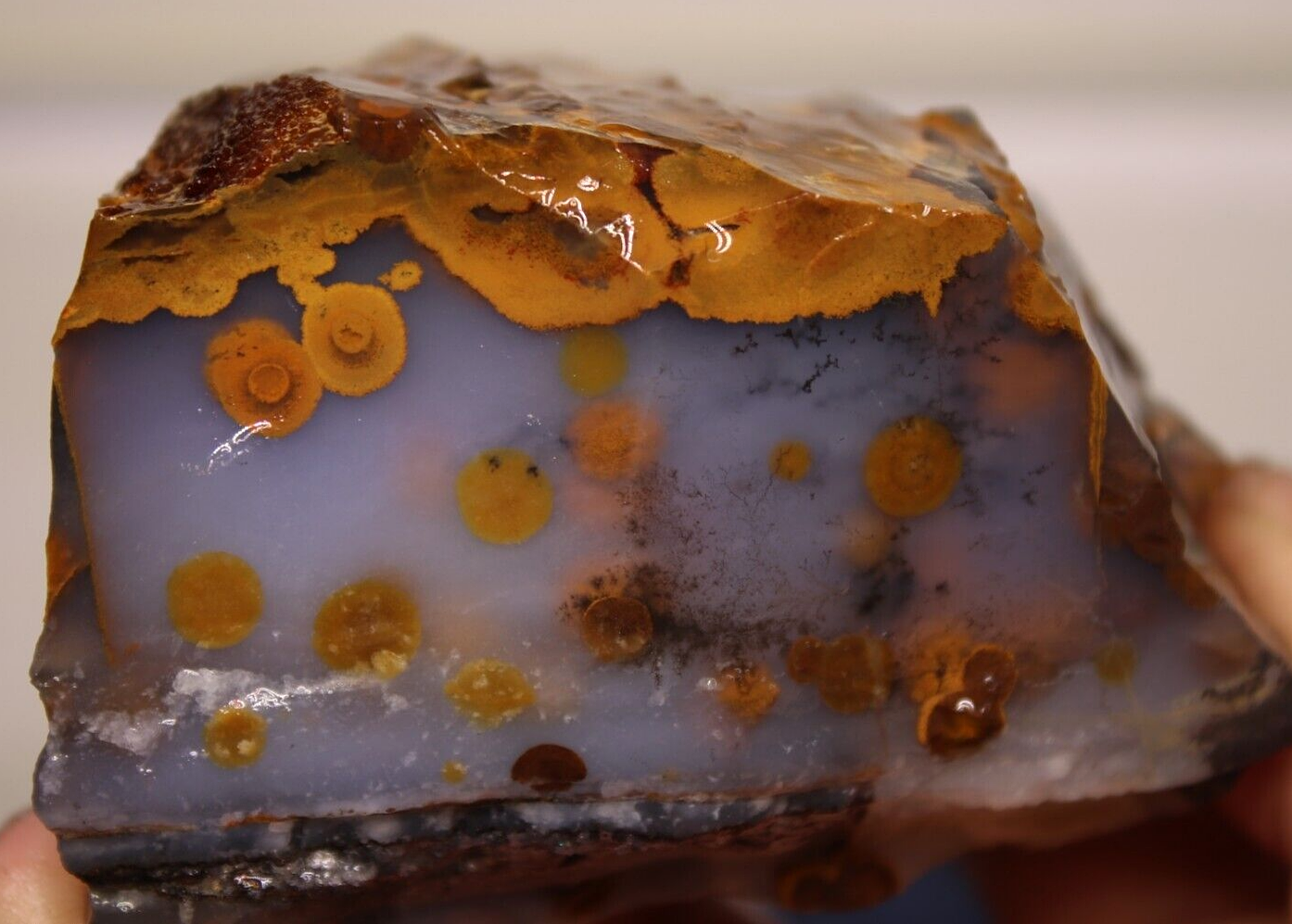 1 Pound HIGH GRADE Blue Ice Polka Dot Agate. Madras Oregon Lapidary