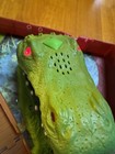 Picture 6 of 11