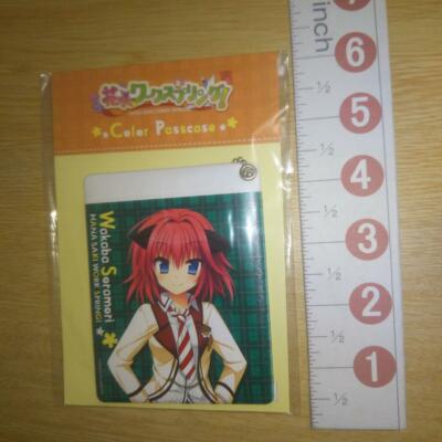 A62462 Hanasaki Work Spring! / Color Pass case key chain / Wakaba Soramori