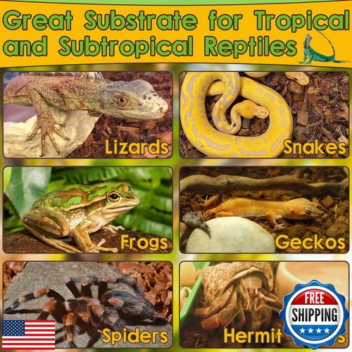 Halatool 6Pack Compressed Coconut Chips Brick Natural Coconut Husk for Reptil - 第 5/5 張圖片