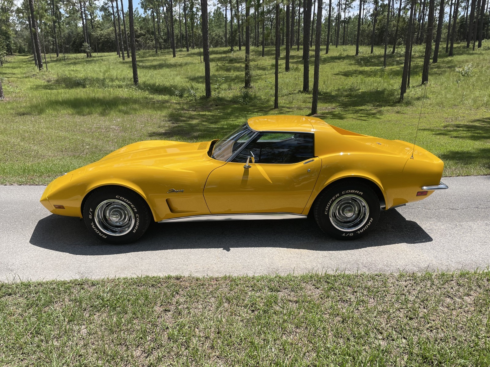 1973 Chevrolet Corvette for sale in Williston Florida