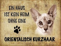 Holzschild 30X40 Cm Orientalisch Kurzhaar Katze Deko Geschenk Holz Schild
