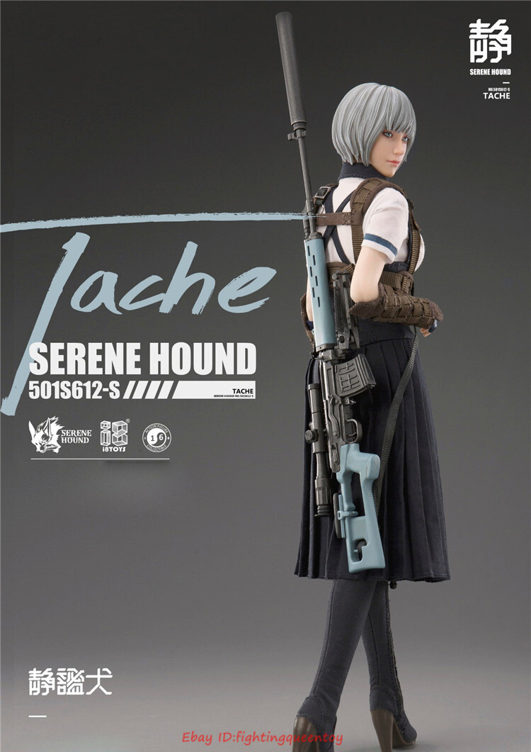 i8TOYS TACHE Serene Hound Troop 1/6 Scale Figure Model INSTOCK | eBay