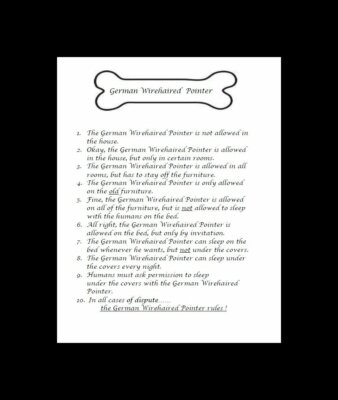 * German Wirehaired Pointer ''Rules'' - CUSTOM MATTED - Dog Art Print : GIFT 