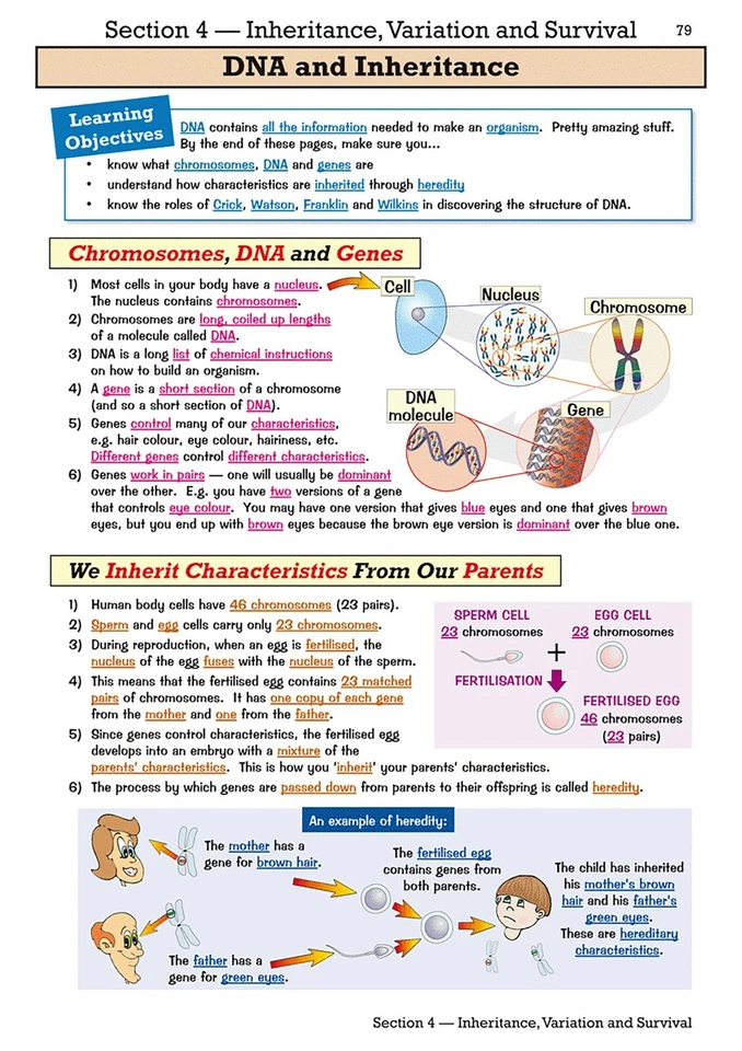 KS3 Years 7-9 Biology Physics Chemistry Study & Question Books CGP Science X - Image 4 of 4