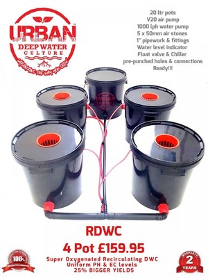 20l 4 Pot System For Grow Tent 1 2 X 1 2 600w Light Auto Pot Dwc Clonex Lamp Ebay