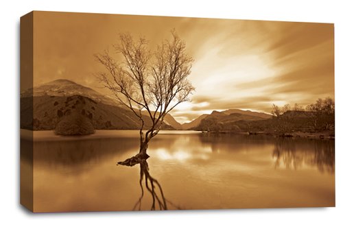 Large Floral Landscape Sunset Art Print Brown Cream Framed Canvas Picture - Picture 5 of 16