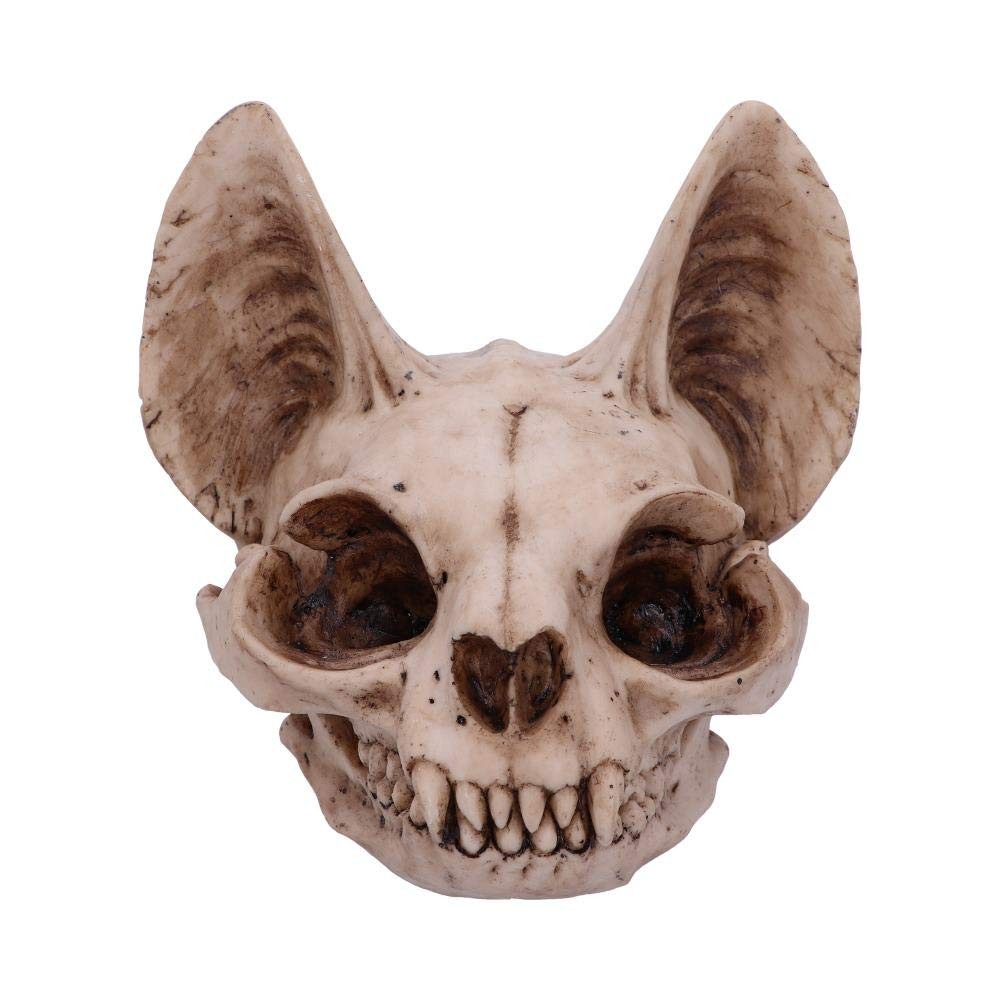 Nemesis Now Bastets Secret Cat Skull Figurine Ornament Natural Bone Colour On 8790₽