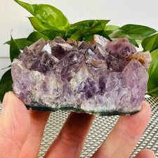 309G Natural Amethyst geode quartz cluster crystal specimen Healing