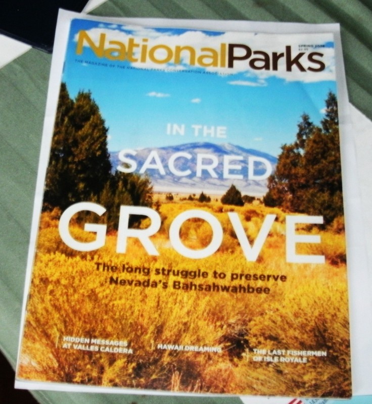 National Parks Magazine, In the Sacred Grove, Winter 2026