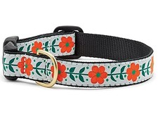 Orange You Pretty Pattern Dog Collar XLarge Fits 1824 Inch 1 Inch Wide