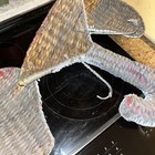 Foto 10 di 11