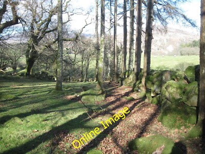 Foto 6x4 Holz bei Tyddyn Mawr Dolbenmen Es ist möglich, dass der Wald i c2011