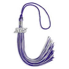 Endea Graduation Purple/Silver Mixed Color Tassel With Silver Date Drop