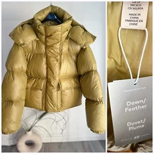 H&M Premium Yellow-Beige Hooded Down Short Filled Jacket NWT XS M