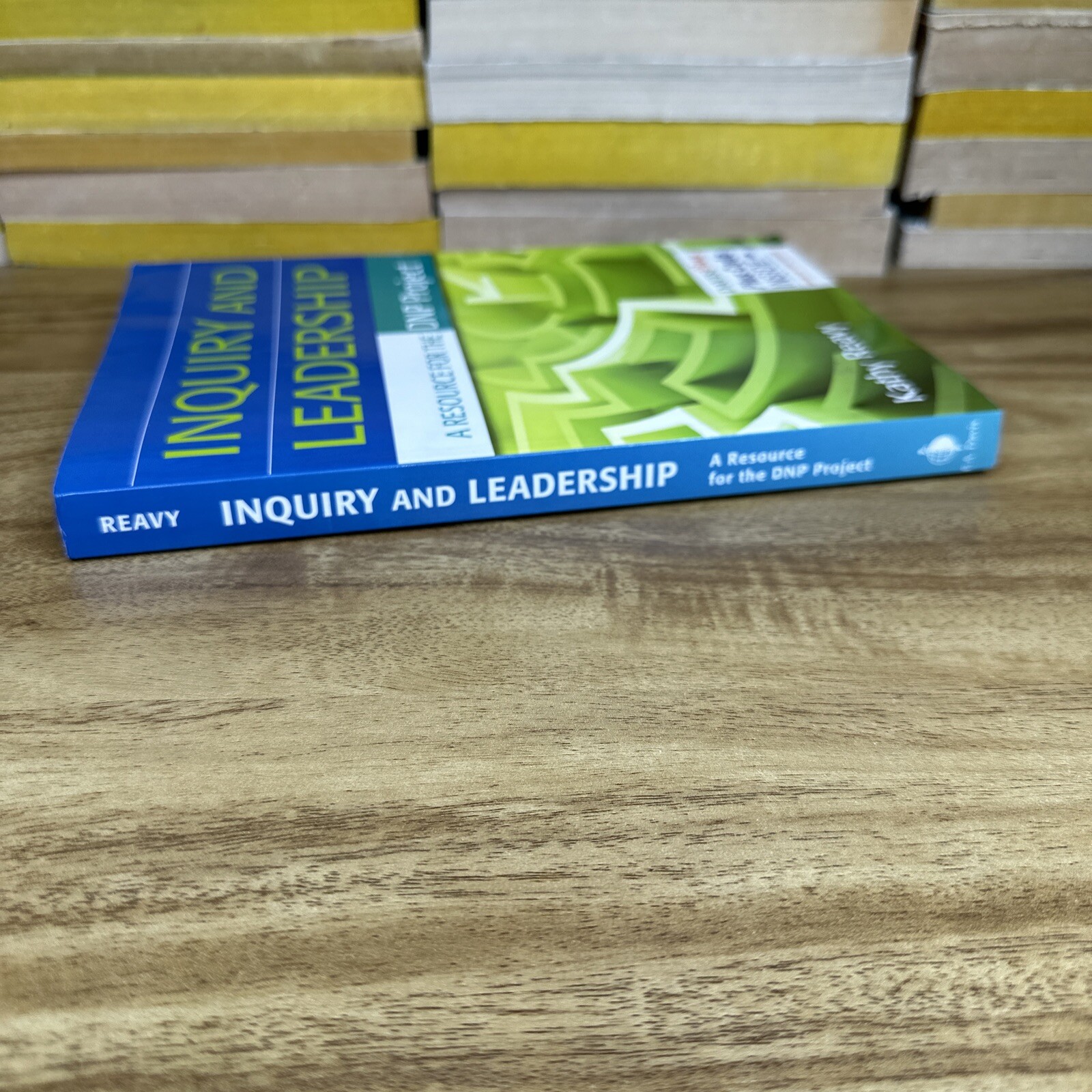 Inquiry And Leadership.  A Resource For The DNP Project Paperback