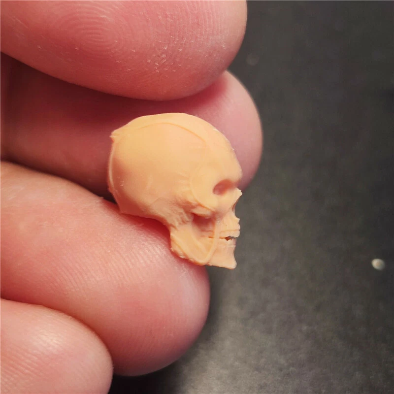 1:18 heroes Skull Head Sculpt Carved For 3.75inch Male Action Figure Body Toys - Image 3 of 4