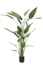 artplants Kunstpflanze Heliconia ANURIA, 26 Blätter, grün, 175cm