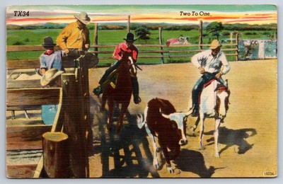 1952 Fort Worth, TX Postcard - Rodeo Action in Texas Two to One Cowboy Cattle