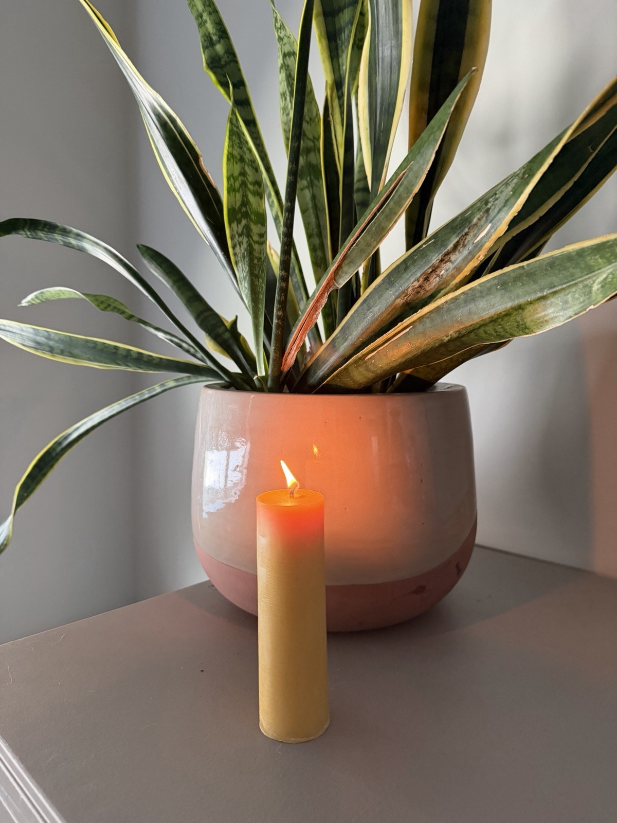 2&rdquo;x6&rdquo; Beeswax Pillar Candles