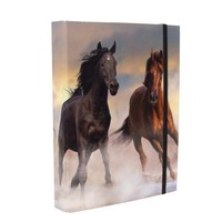 Donau 2056500-05 Heftbox Kids Pferde, A4, Karton