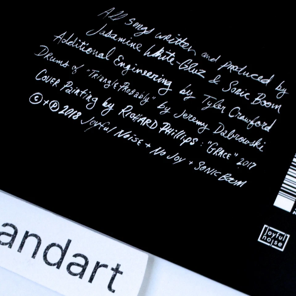 RICHARD PHILLIPS ART COVER & 12" VINYL 2017 ORIGINAL MINT RARE - Image 3 of 4