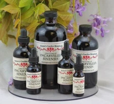 INCARVILLEA SINENSIS Tincture ORGANIC Potter's Garden alkaloids liquid extract ~