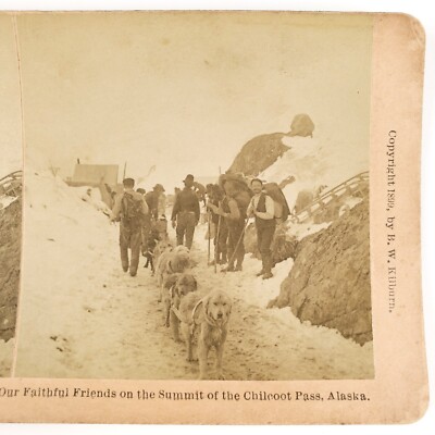 Chilkoot Pass Sled Dogs Stereoview c1899 Klondike Gold Rush Alaska ...