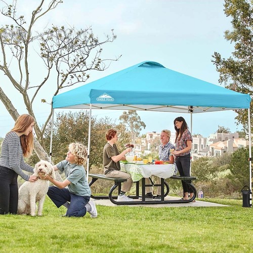 EAGLE PEAK 10x10 Pop Up Canopy Tent Easy Set up Straight Leg Folding Shelter - Picture 248 of 454
