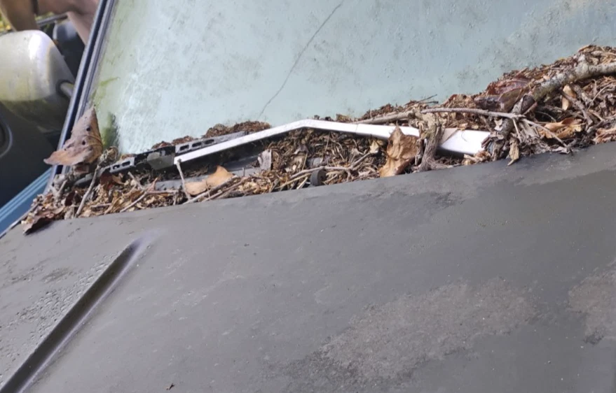 Juego de brazos limpiaparabrisas OEM para camioneta Chevy GMC 88-94 Foto 2 de 4