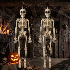 Hanging Small Skeletons for Halloween Decorations: 2PCS 16Inches