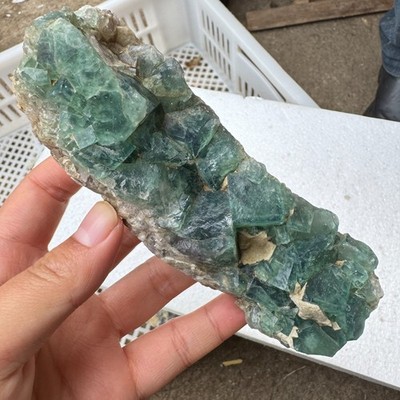 360g NATURAL Green Cube FLUORITE Quartz Crystal Cluster Mineral Specimen