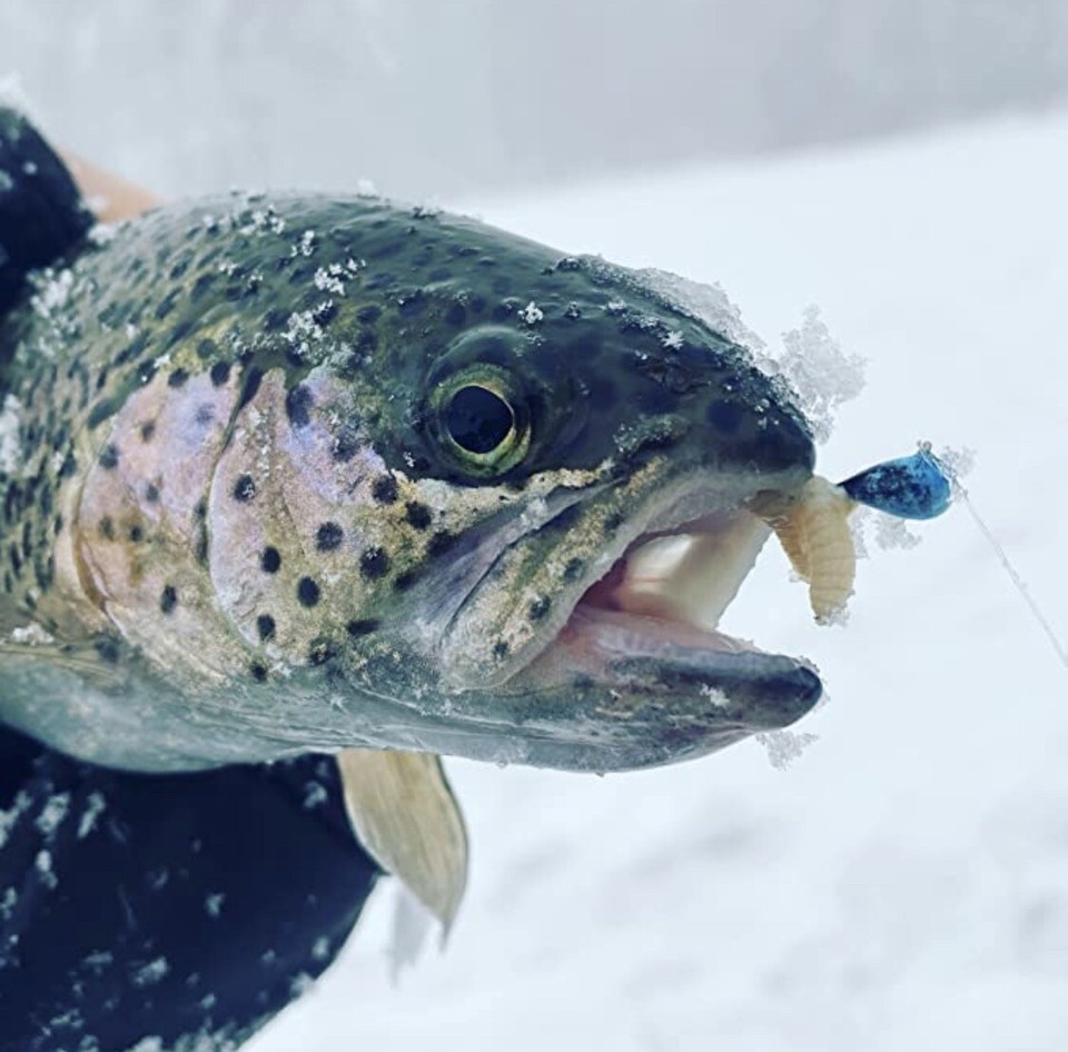 Wolfram Jigs Im Eisfischen Zubehör Eisfischen Jigs Wolfram
