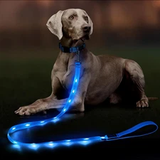 Light up Dog Leash - 5 Ft LED Pet Leash Rechargeable Glow in the Dark Dog Rope S