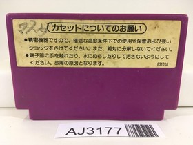 AJ3177 Spartan X Kung Fu Master Nintendo Famicom NES Japan
