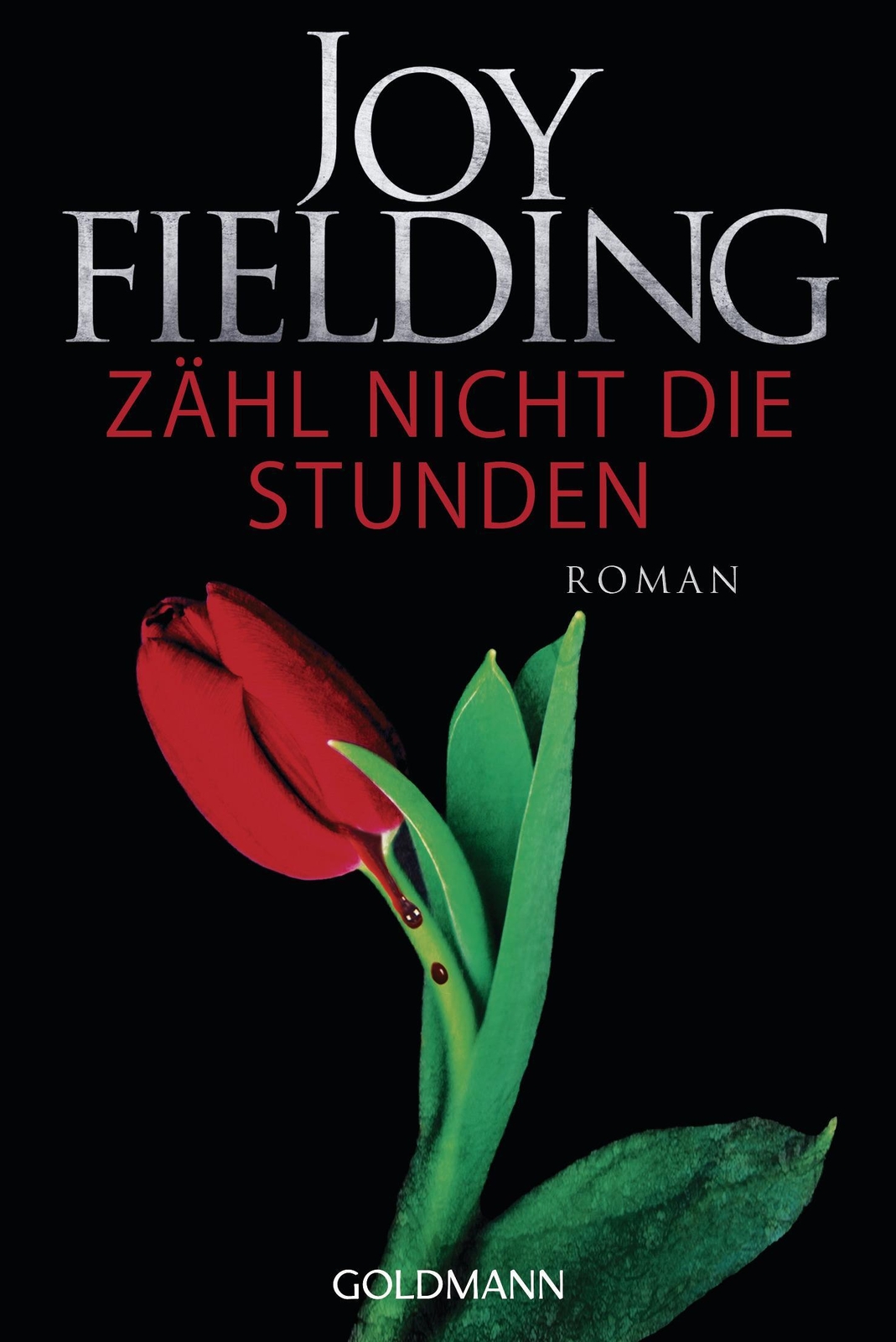 Thumbnail - Zähl Nicht Die Stunden Joy Fielding Taschenbuch 448 S. Deutsch 2017