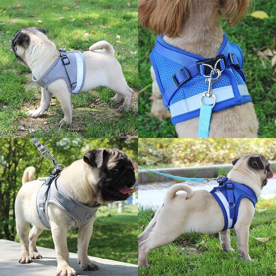 Breathable Dog Pug Harness Pet Puppy Cat Soft Nylon Mesh Lead Leash Walking Vest - Image 2 of 4