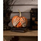 Décoration Halloween Bethany Lowe 2024 - Citrouille Avec Squelette Skelly TD3135