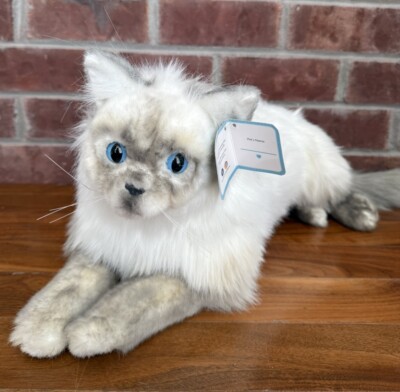 PETSIES FOREVERS Custom Made Plush Cat  Tabby White Gray Lifesize Blue Eyes