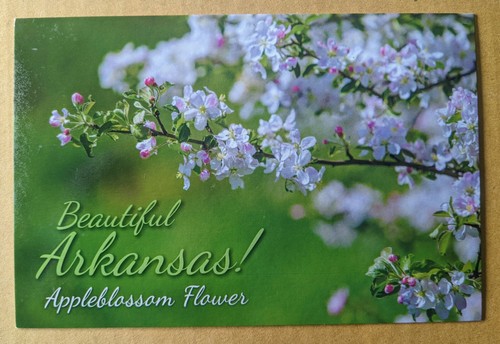 Flowers. Arkansas state flower - Appleblossom Flower | eBay