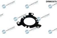 Dr.Motor Automotive Dichtung, Einspritzpumpe DRM03079 FüR CitroËN Ford Lancia