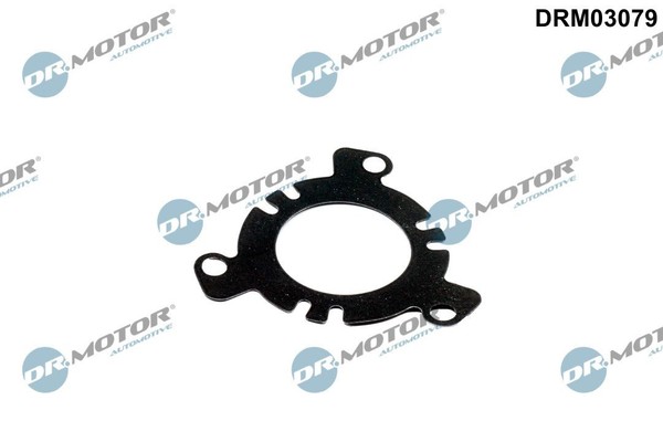 Dr.Motor Automotive Dichtung, Einspritzpumpe DRM03079 FüR CitroËN Ford Lancia-image