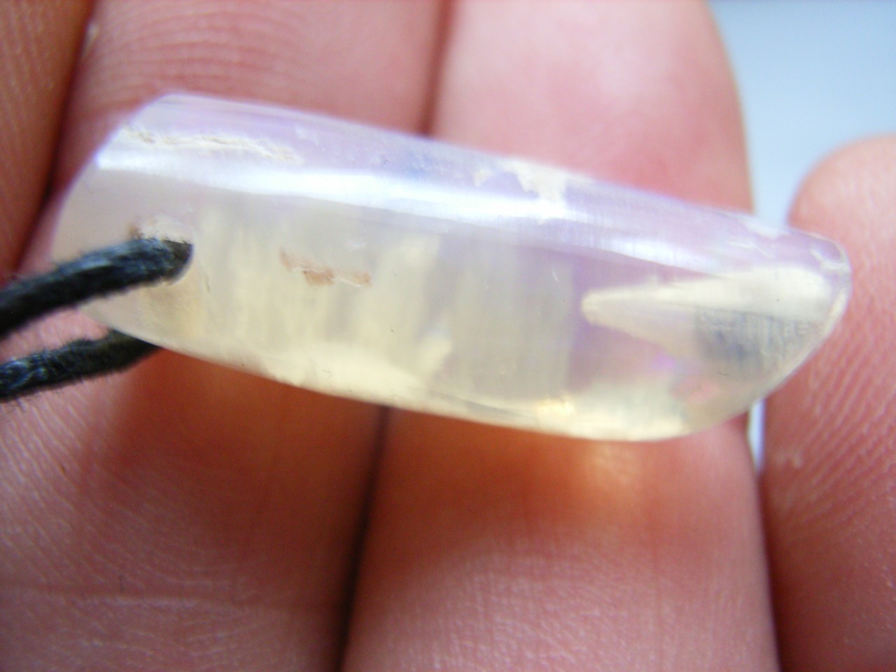 Opalisierter BELEMNIT aus Australien gebohrt am Band Opalisierter BELEMNIT aus Australien gebohrt am Band