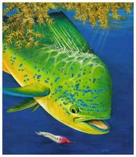 Fly Fishing Ocean Painting Mahi Mahi, like Don Ray Guy Harvey