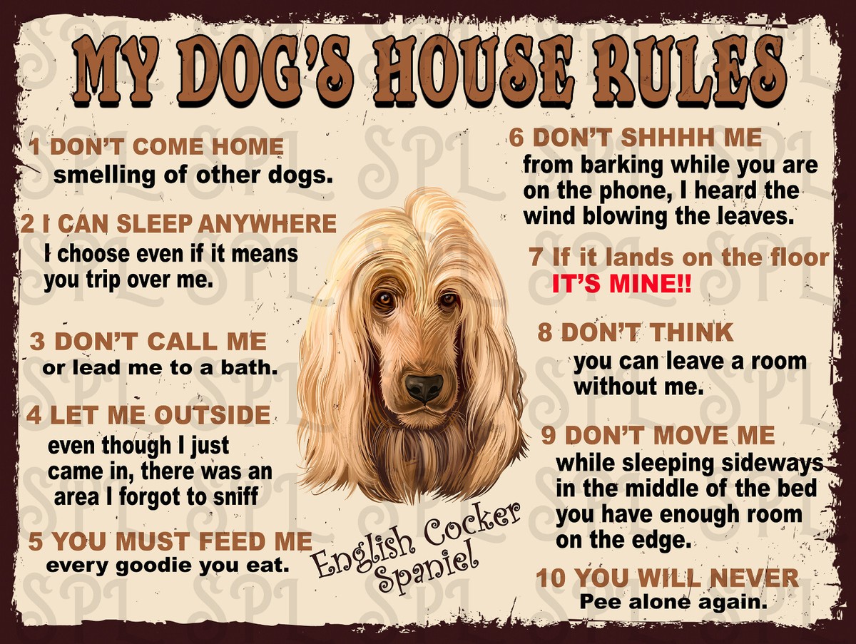 Home Alone How To Stop Dog Barking And Howling When Left Alone